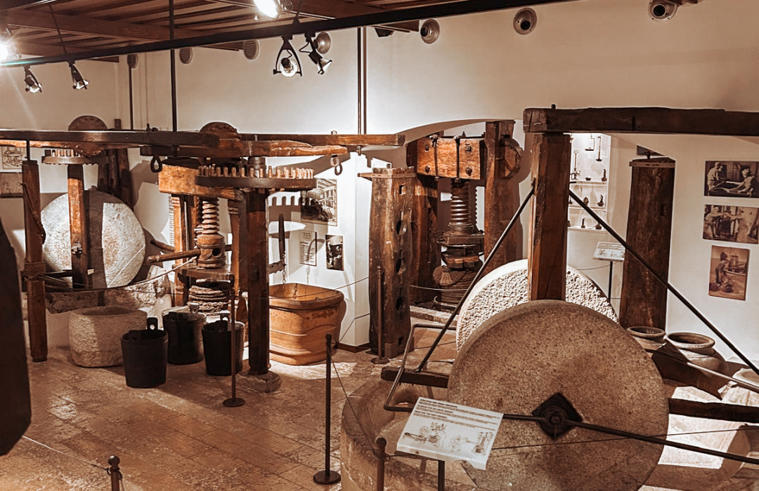 08d9f1f3-8efe-4f38-b668-bd6898a37ef7